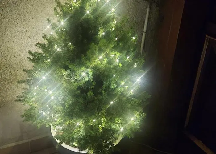 Apartment Sudety Canna House *